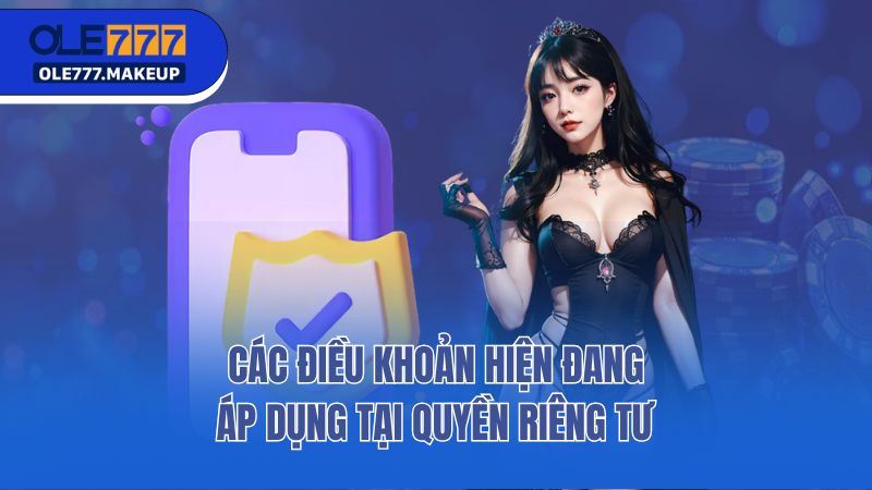 Các điều khoản hiện đang áp dụng tại quyền riêng tư