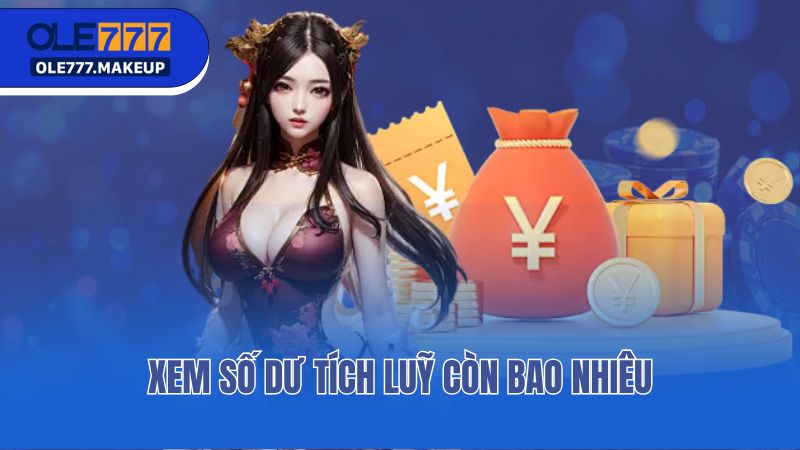 Xem số dư tích luỹ còn bao nhiêu